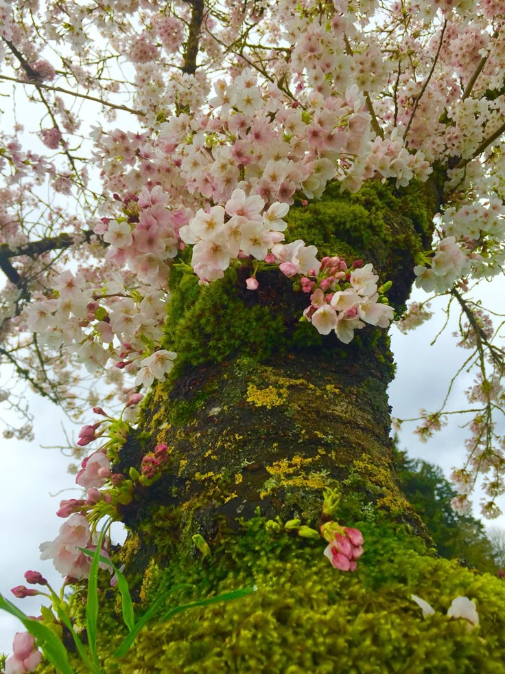 𓍊˖ ࣪⊹ tweet media