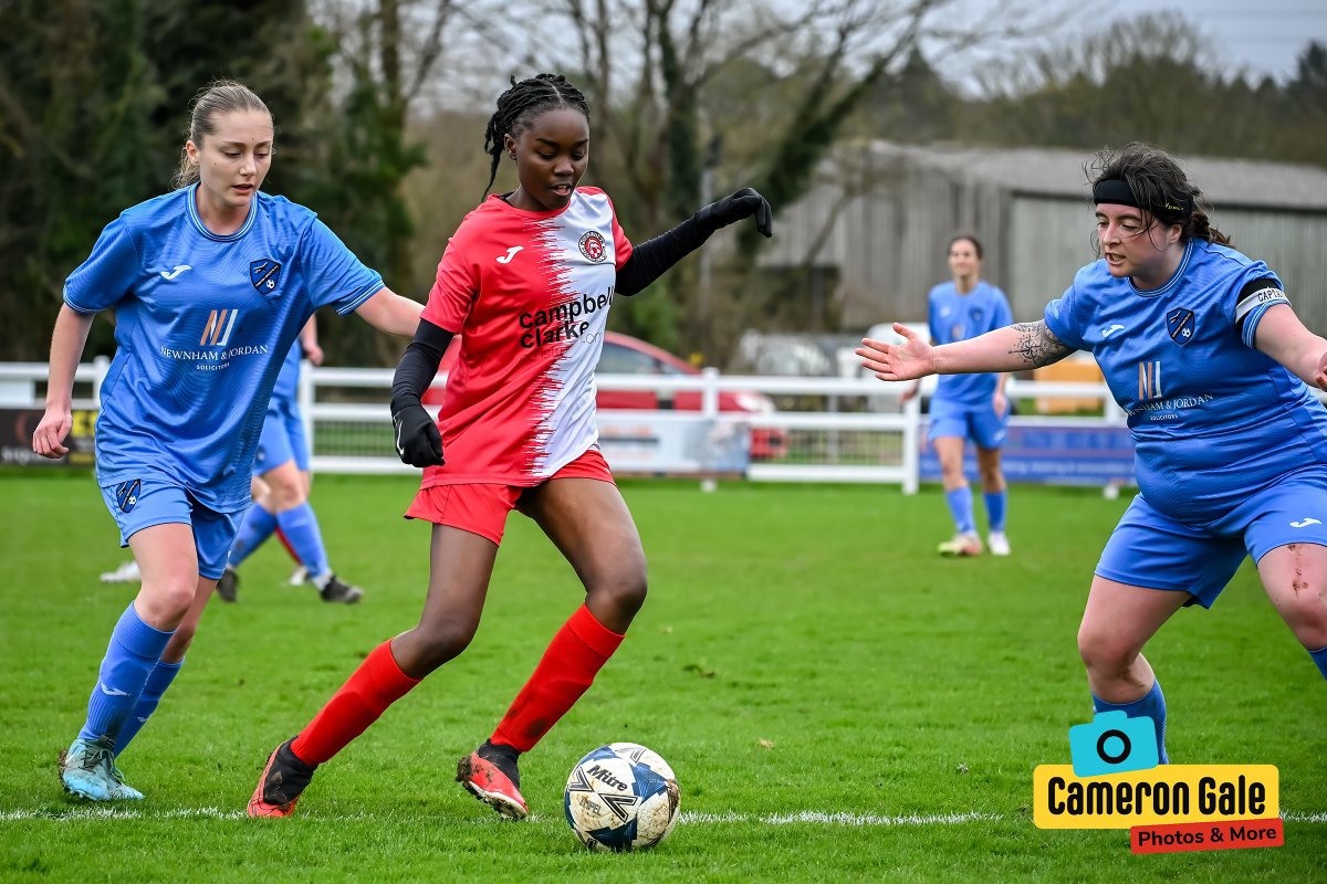 Behind The Fence Photography tweet media