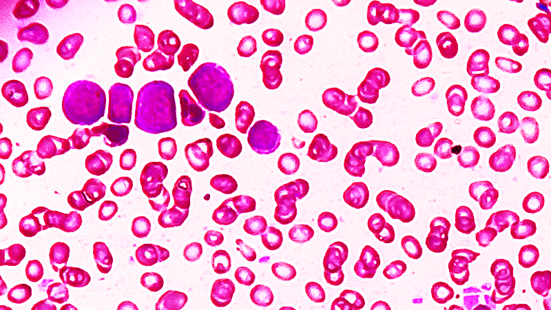 Medscape UK tweet media