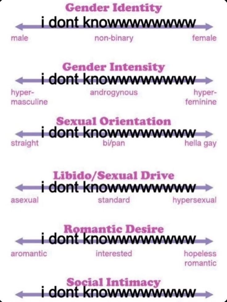 horse dentist tweet media