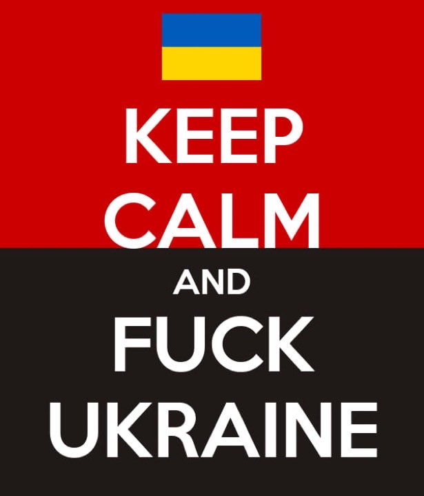 sindbad_69 tweet media