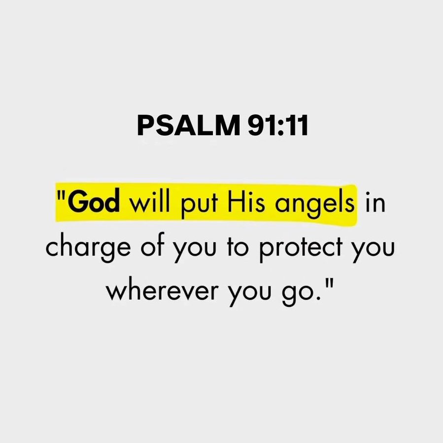Bible 365 tweet media