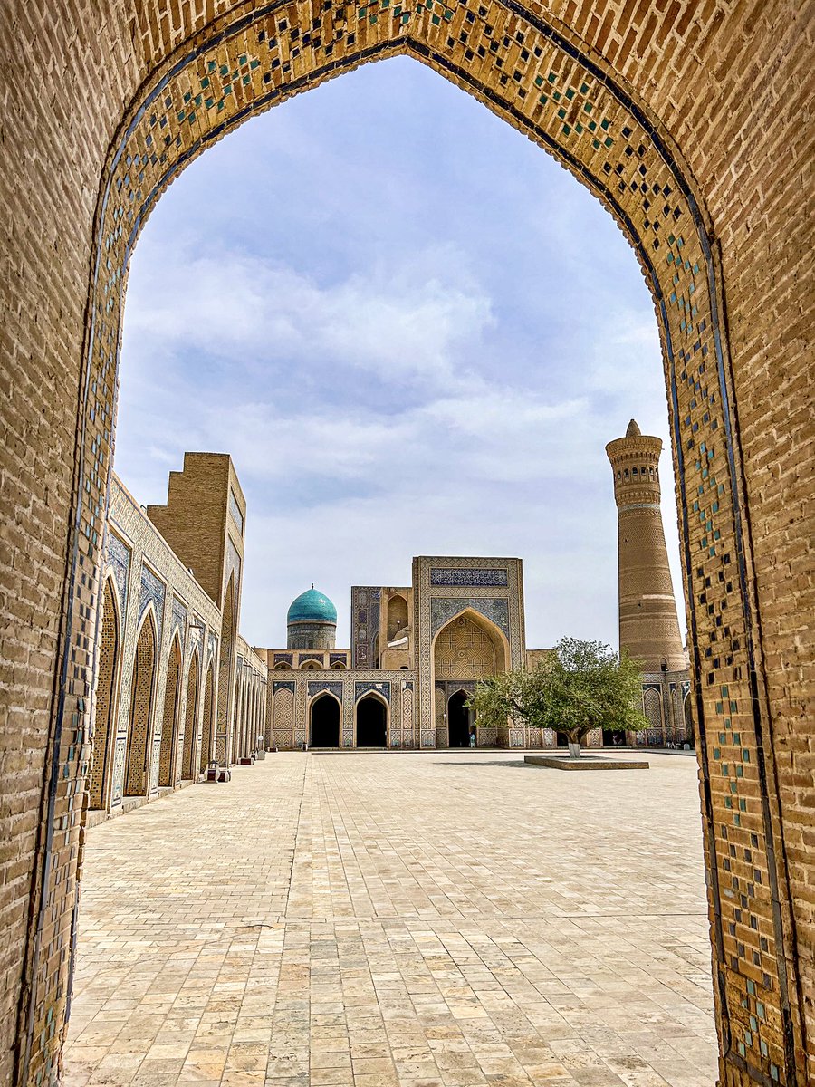 Globe Tucker tweet media