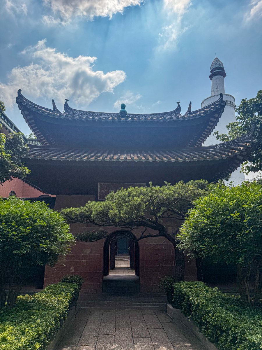 Globe Tucker tweet media