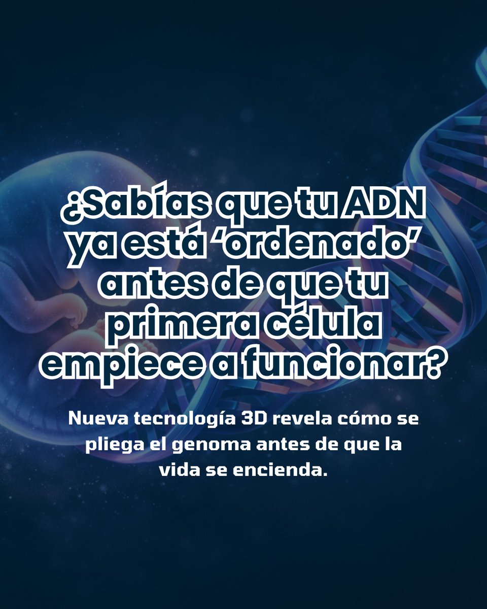 Bioinformática USJ tweet media