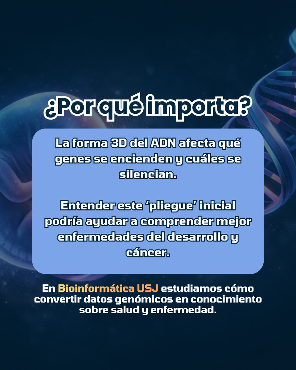 Bioinformática USJ tweet media