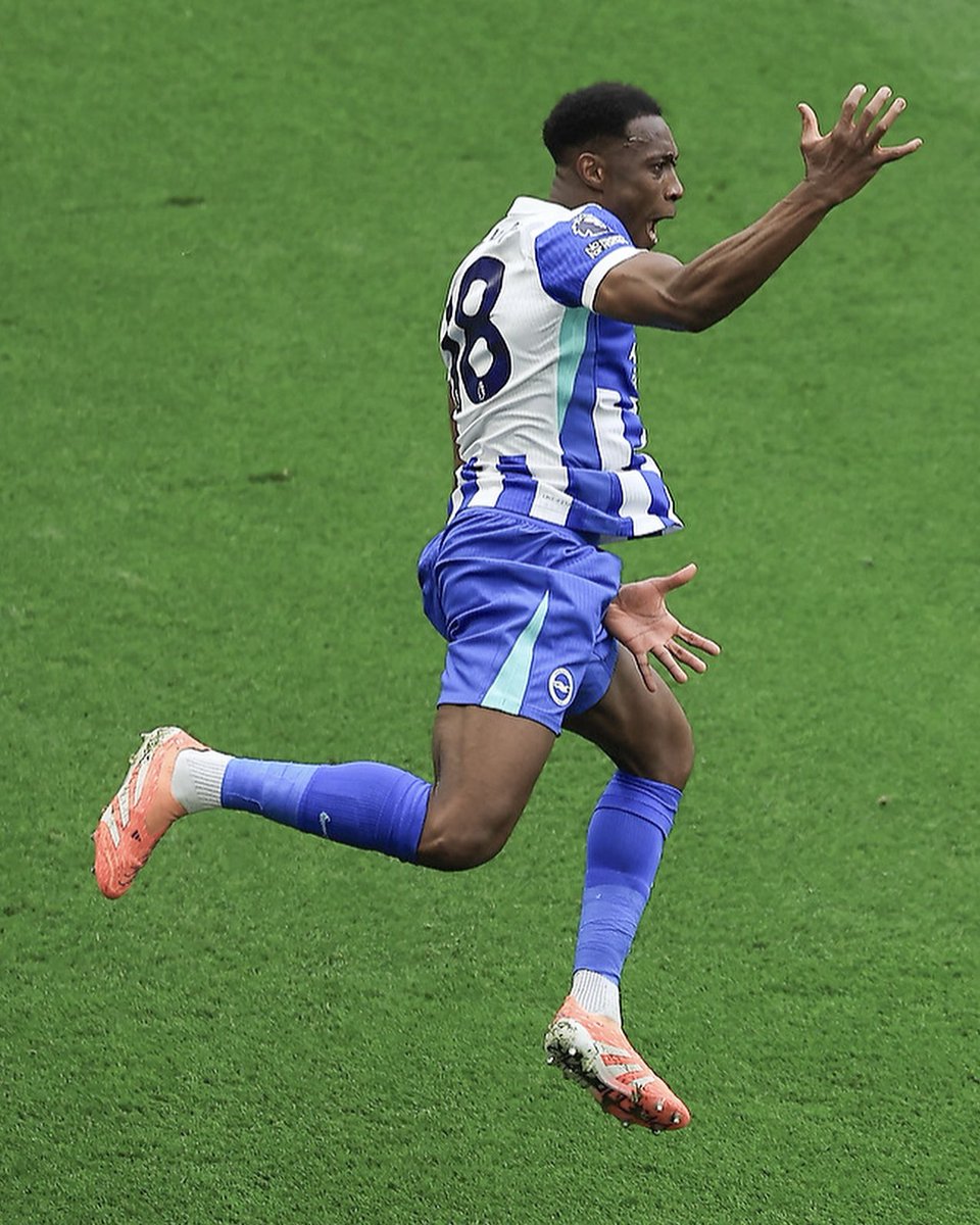 Brighton & Hove Albion tweet media