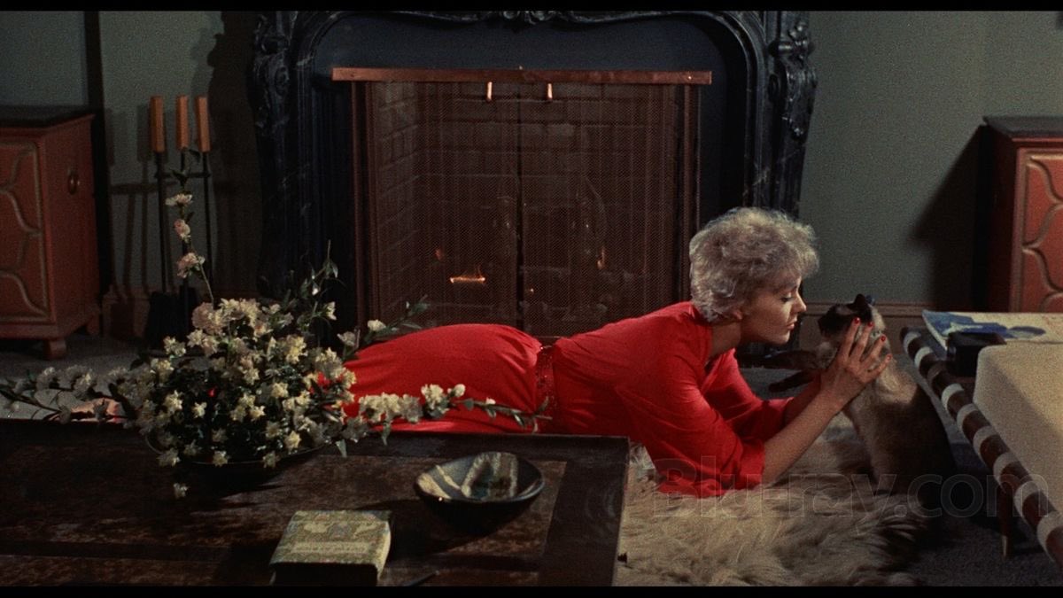 babydollied's tweet photo. bell, book and candle (1958) ⋆˙⟡ https://t.co/amsfxmQONf
