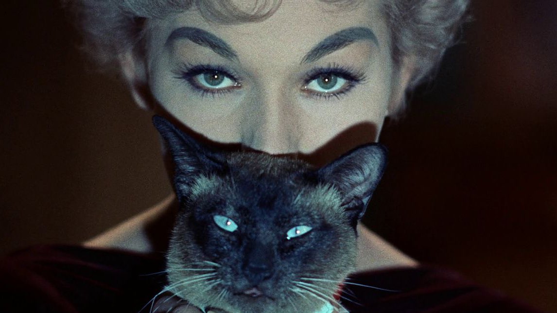 babydollied's tweet photo. bell, book and candle (1958) ⋆˙⟡ https://t.co/amsfxmQONf