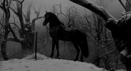 darkdreamvibe's tweet photo. https://t.co/xfJdFgaLy2