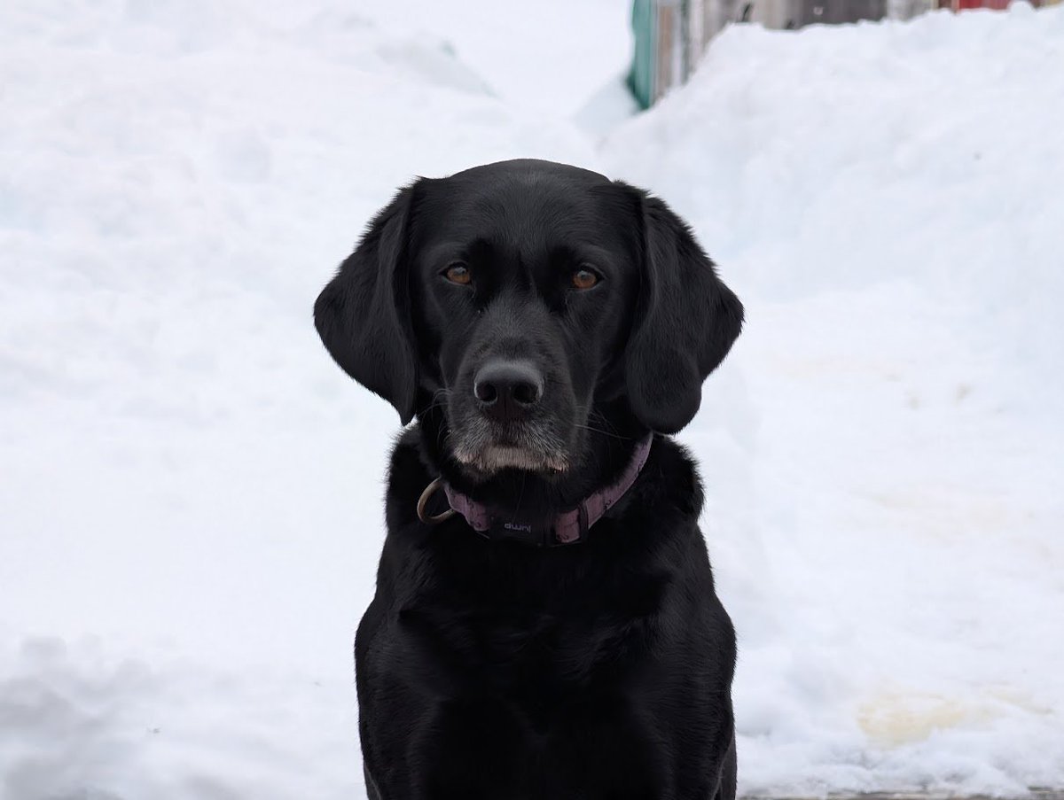 Mike Parsons tweet media