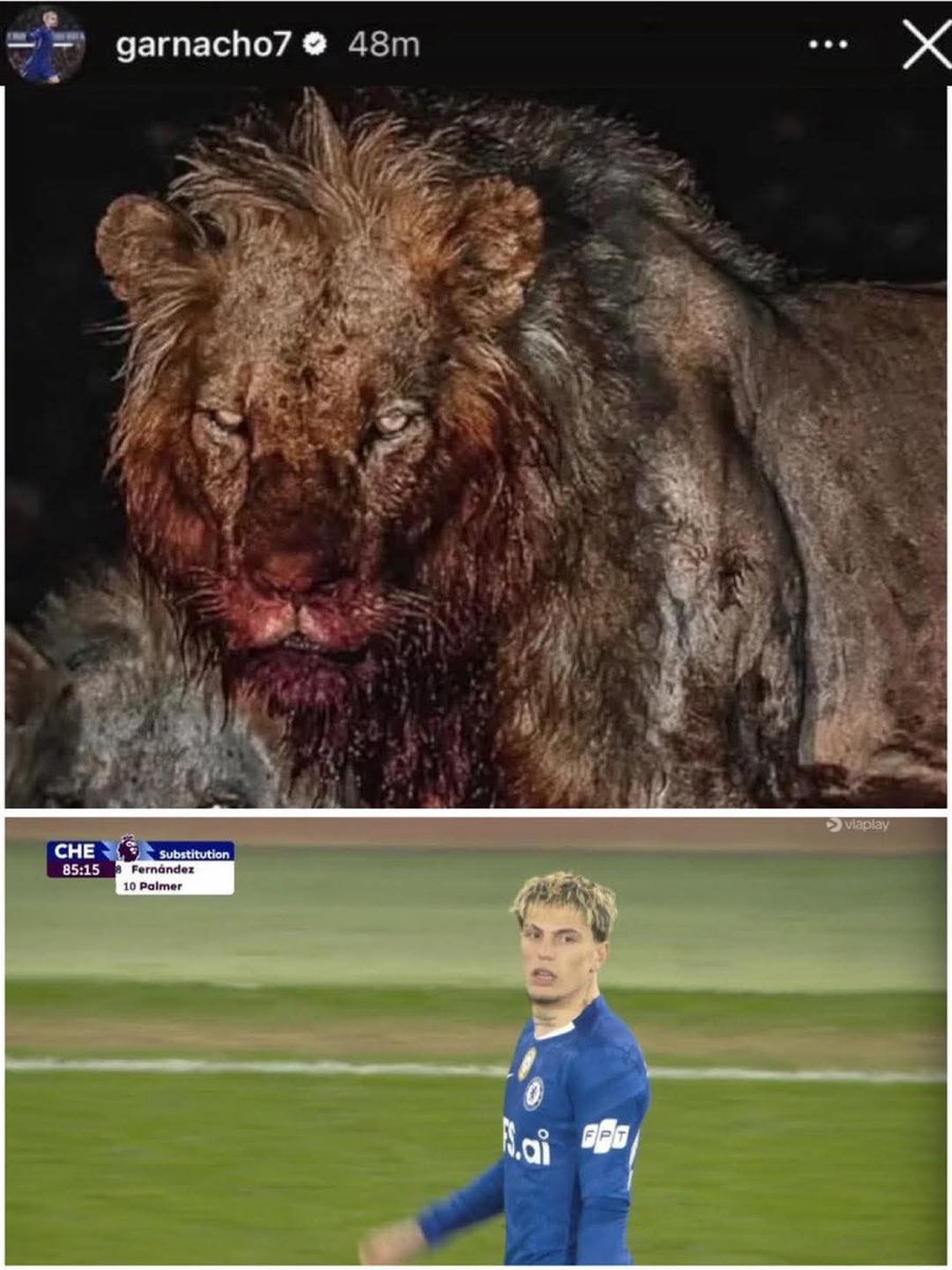 Man United Fan Club tweet media