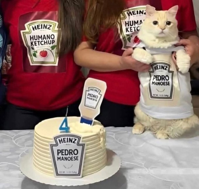 Animalitos en aprietos. tweet media