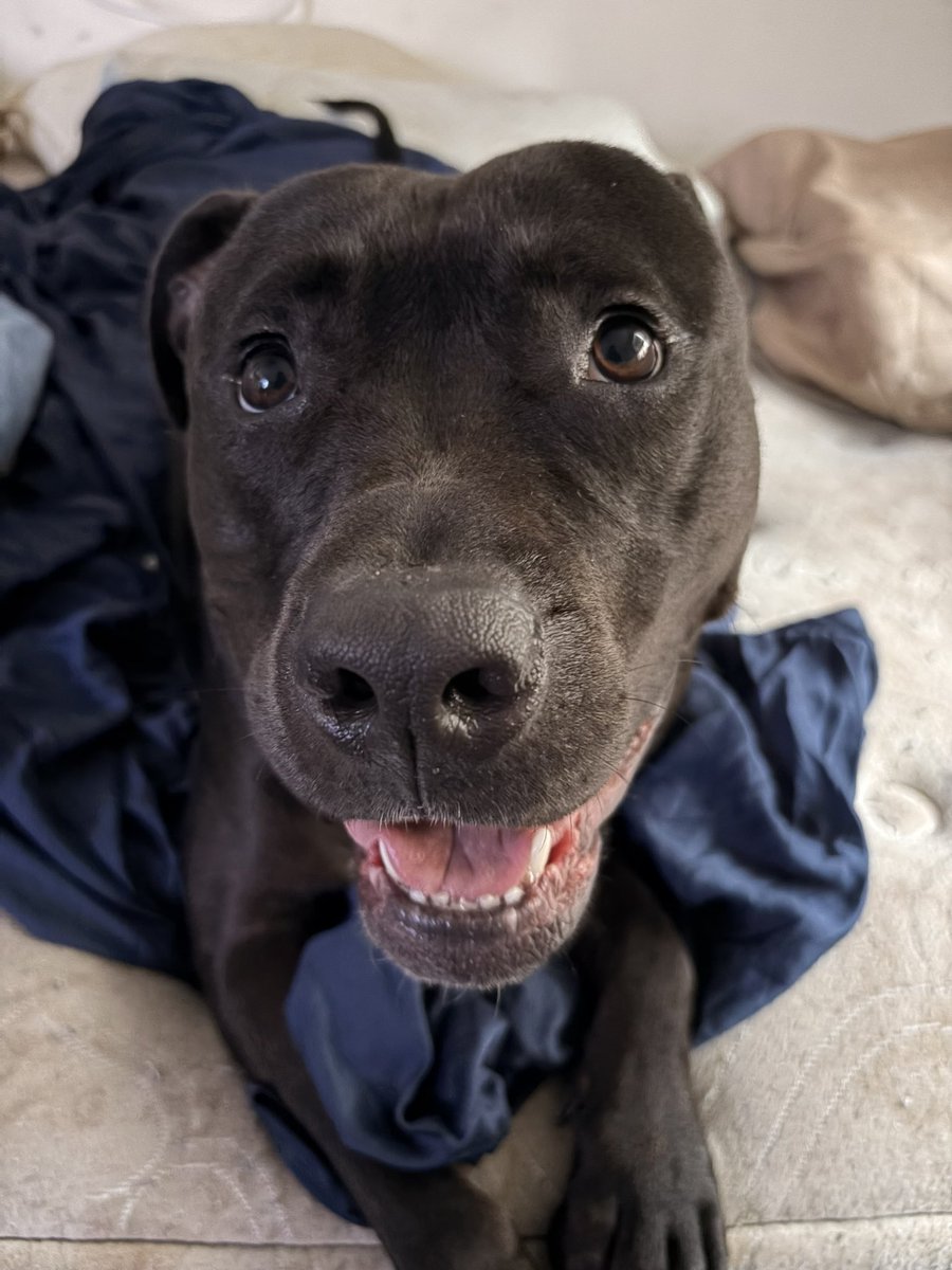 Gwen Filosa Media Key West tweet media