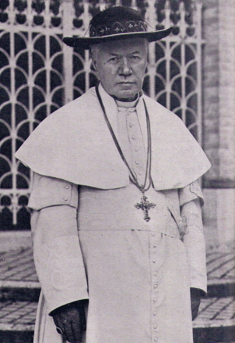 JmyLss's tweet photo. "The movement of apostasy that is being organized for the establishment of a Unified World Church will have no dogmas, no hierarchy, no discipline for the mind, no restraint for the passions, all under the pretext of freedom and human dignity."

 - Pope St. Pius X. https://t.co/xLaod9x9ca