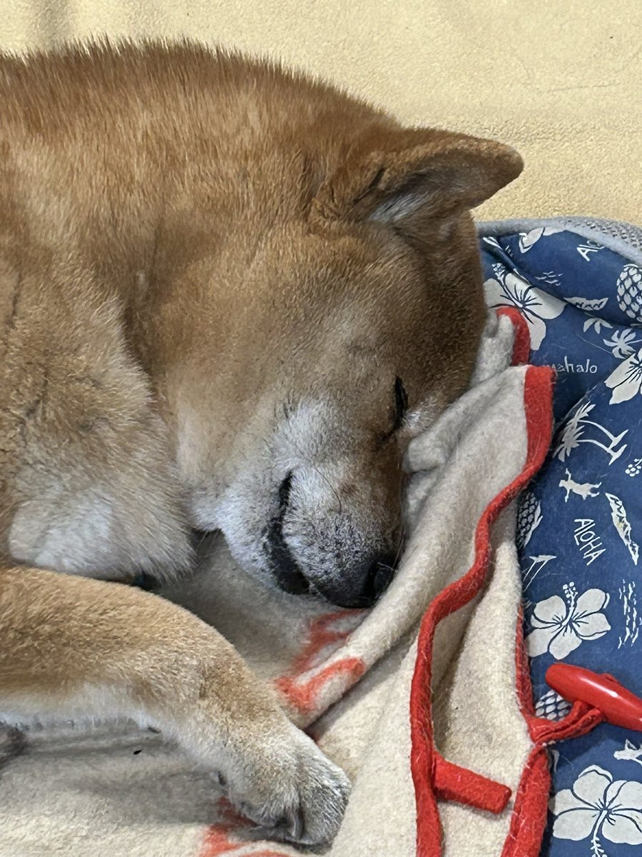 H I R O M I (@HIROMI66136439) / Posts / X