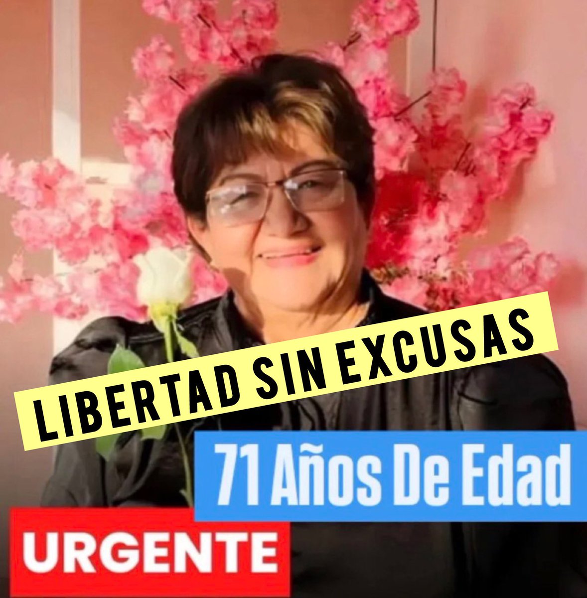 GomezMarcos's tweet photo. Libertad ya para la Sra. Merys Torres de Sequea de 71 años, presa por motivos políticos en Venezuela 

Nos alarman:

Los reportes sobre su hipertensión 18/11
La falta de priorización a su liberación
Las fallas en su atención médica 
Sus condiciones de reclusión 

 Libérenlos Con ley o Sin ley #QueSeanTodos