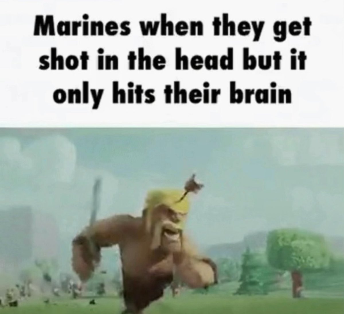 TRAXXTHEFURRY 🔜TBO tweet media