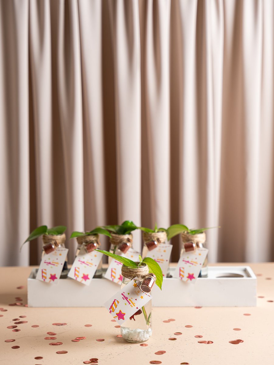 حبيبة | مصممة ✨ tweet media