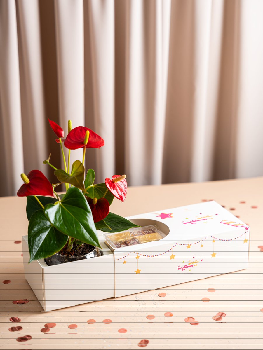 حبيبة | مصممة ✨ tweet media