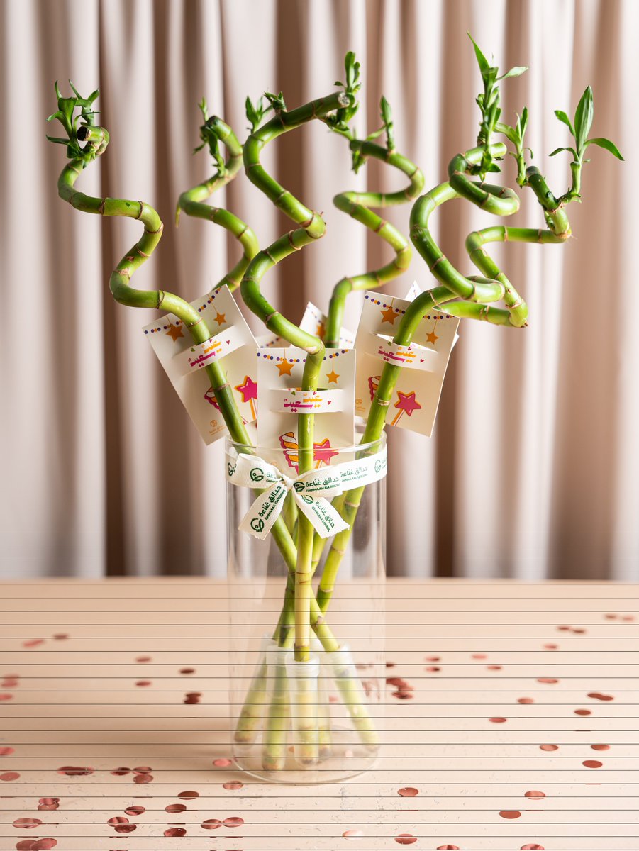 حبيبة | مصممة ✨ tweet media