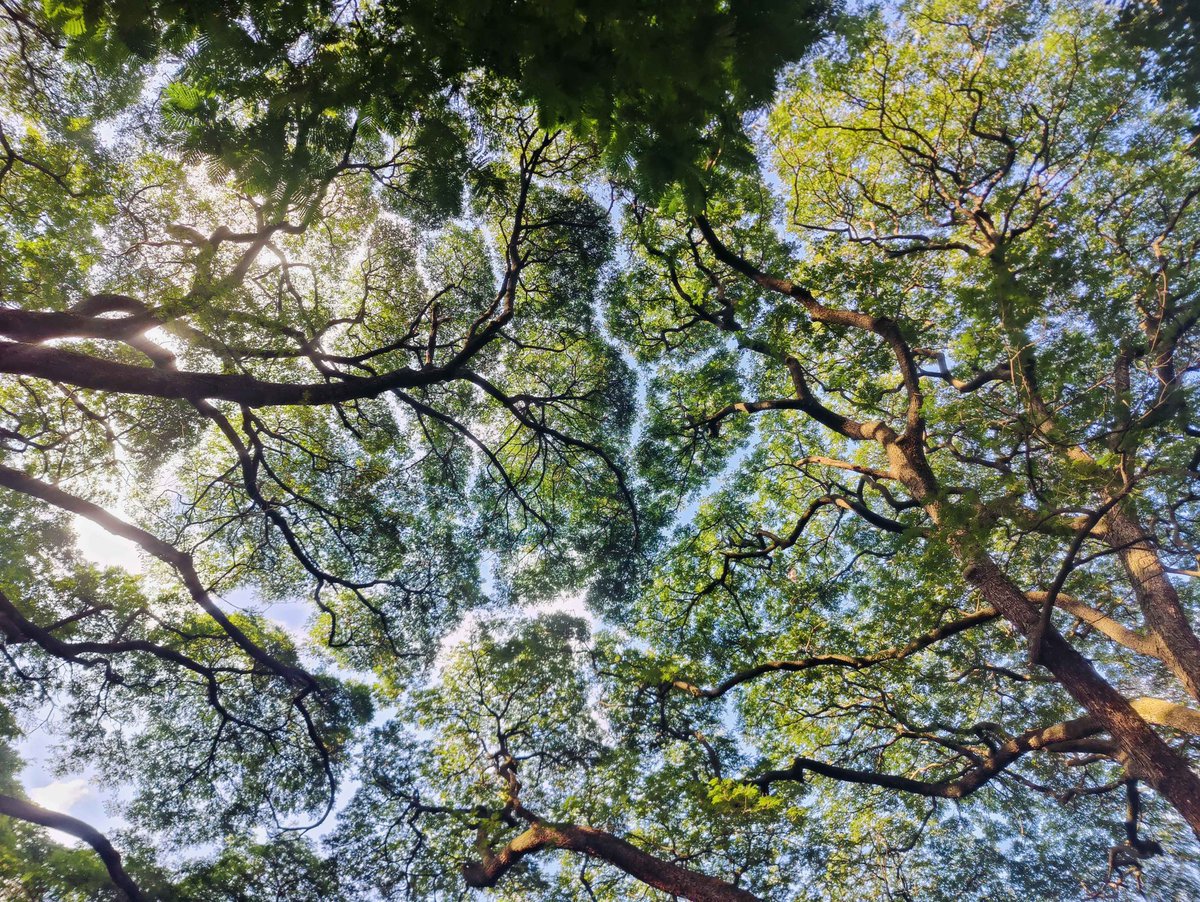 Vishvajeet tweet media