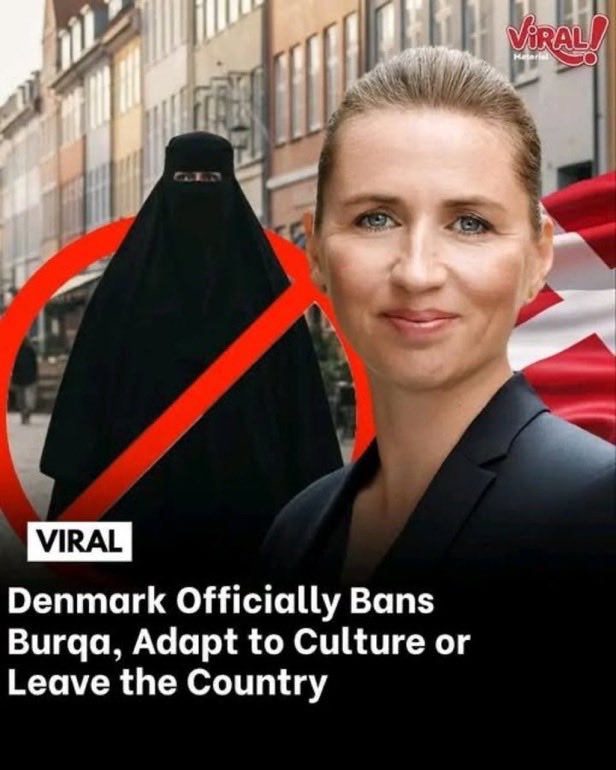Should we all copy Denmark?