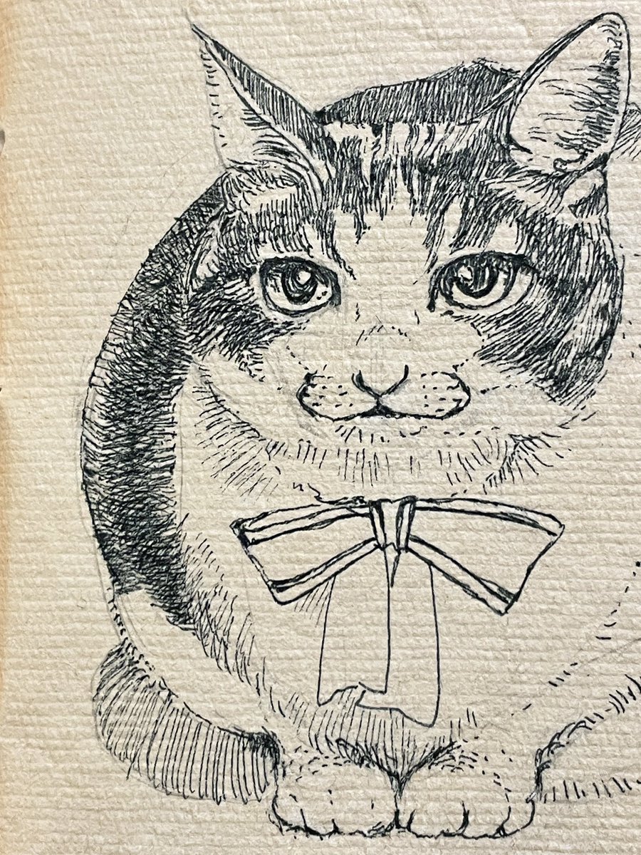 一本一本の線が
線ではなく
質感とか質量とかに
化けるところってどこだろう…
って思いながら描いてる
というか作っているって感じかな〜