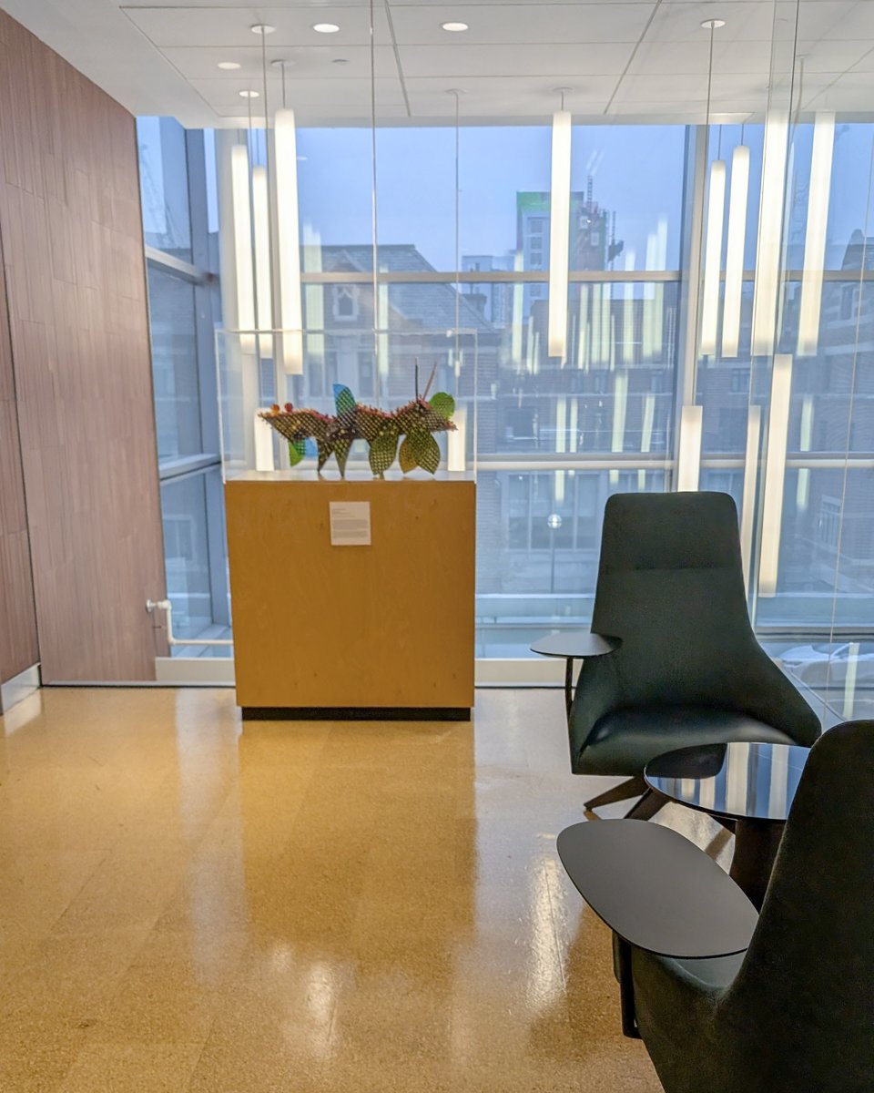 Ross School of Business tweet media