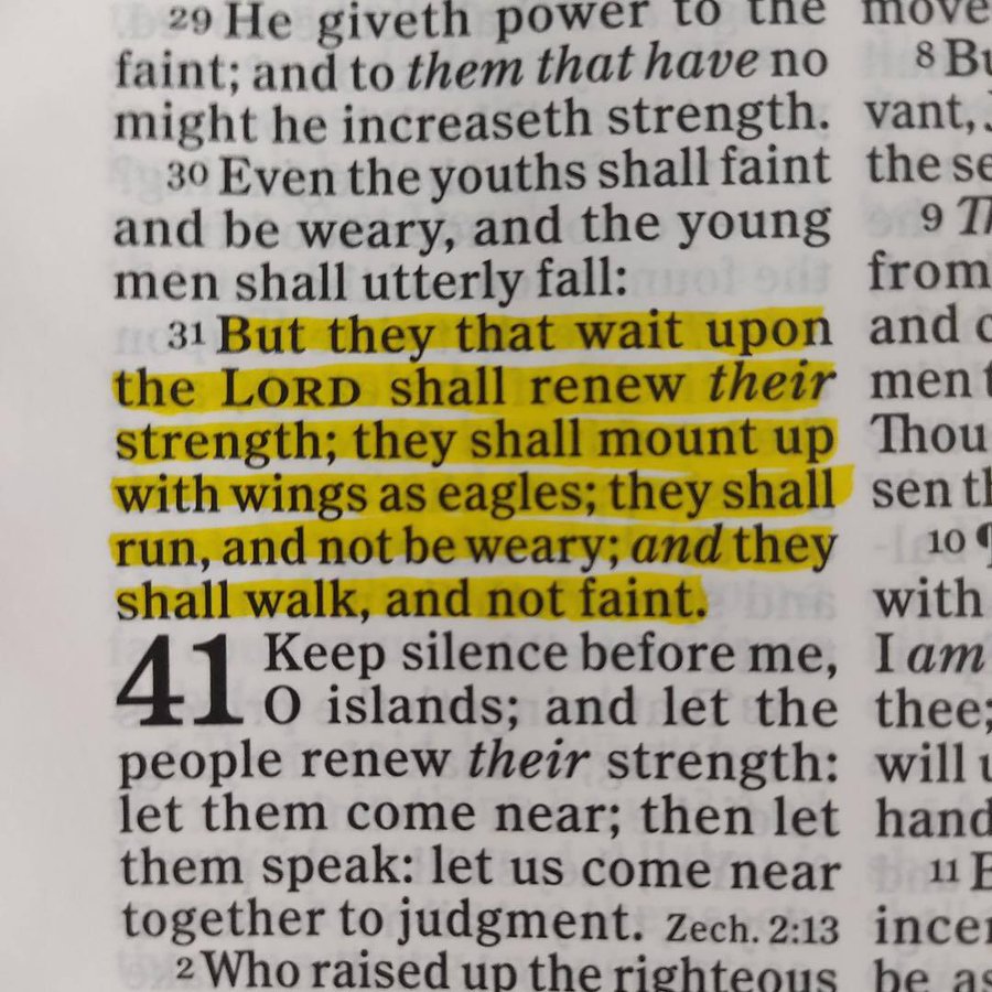 Bible 365 (@bible365_) on Twitter photo 