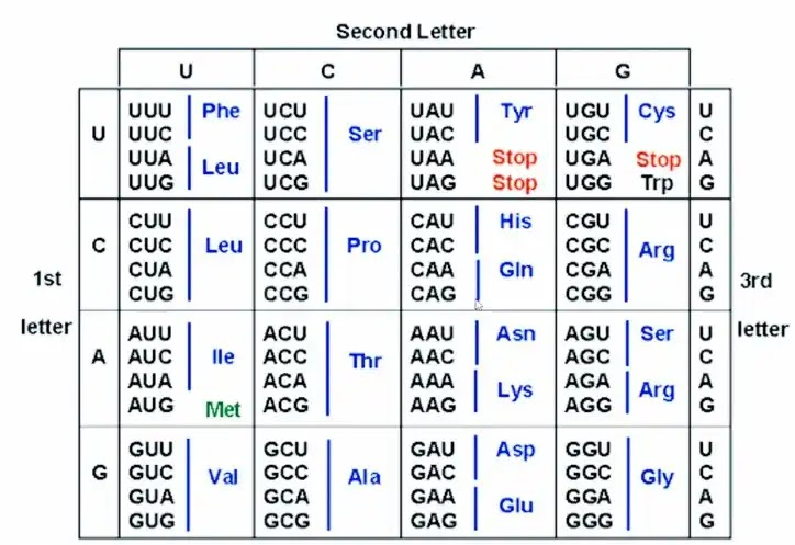 ds_moonstone tweet media