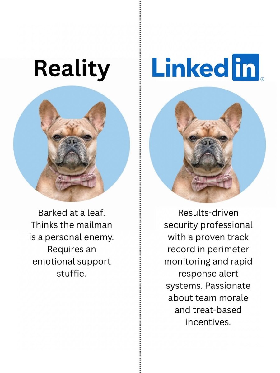 ChicKim (@realchickim) on Twitter photo 