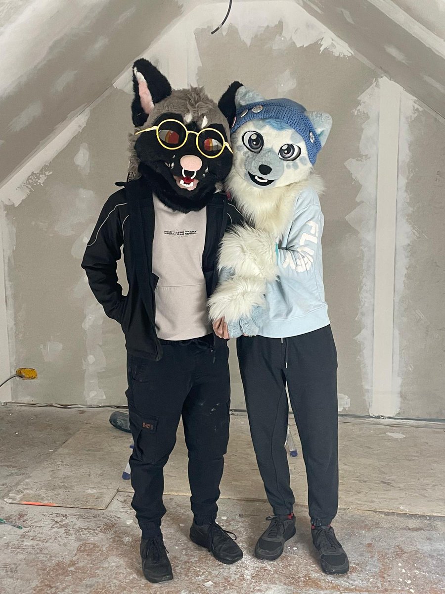 Woxy in a boxy 📦😺 - renovating 🏚️➡️🏠 tweet media