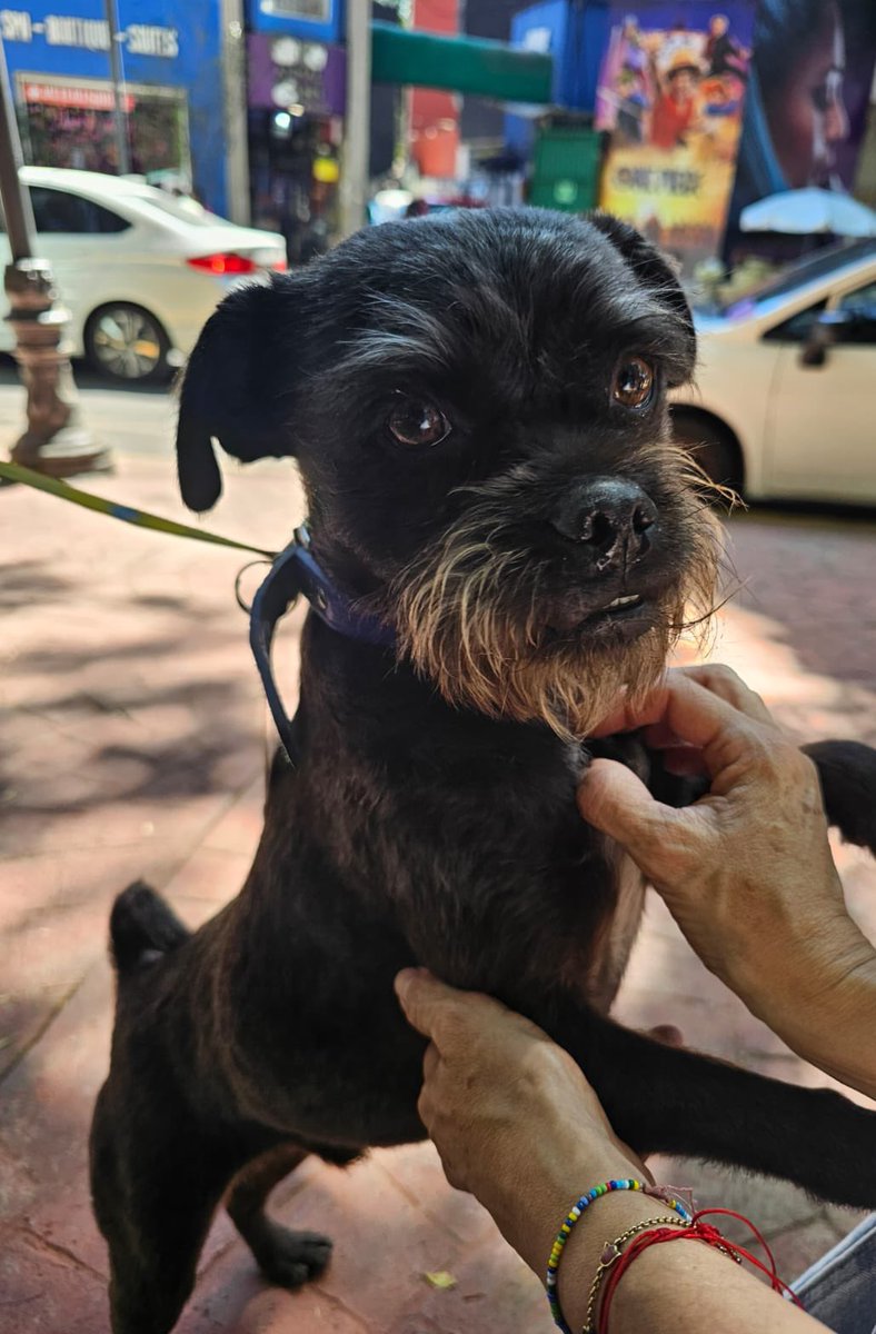 Ivette Arellano 🧘🏼♀️ tweet media