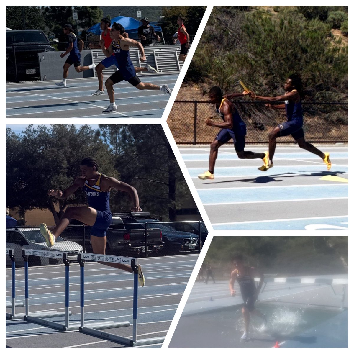 COC XC/Track & Field tweet media