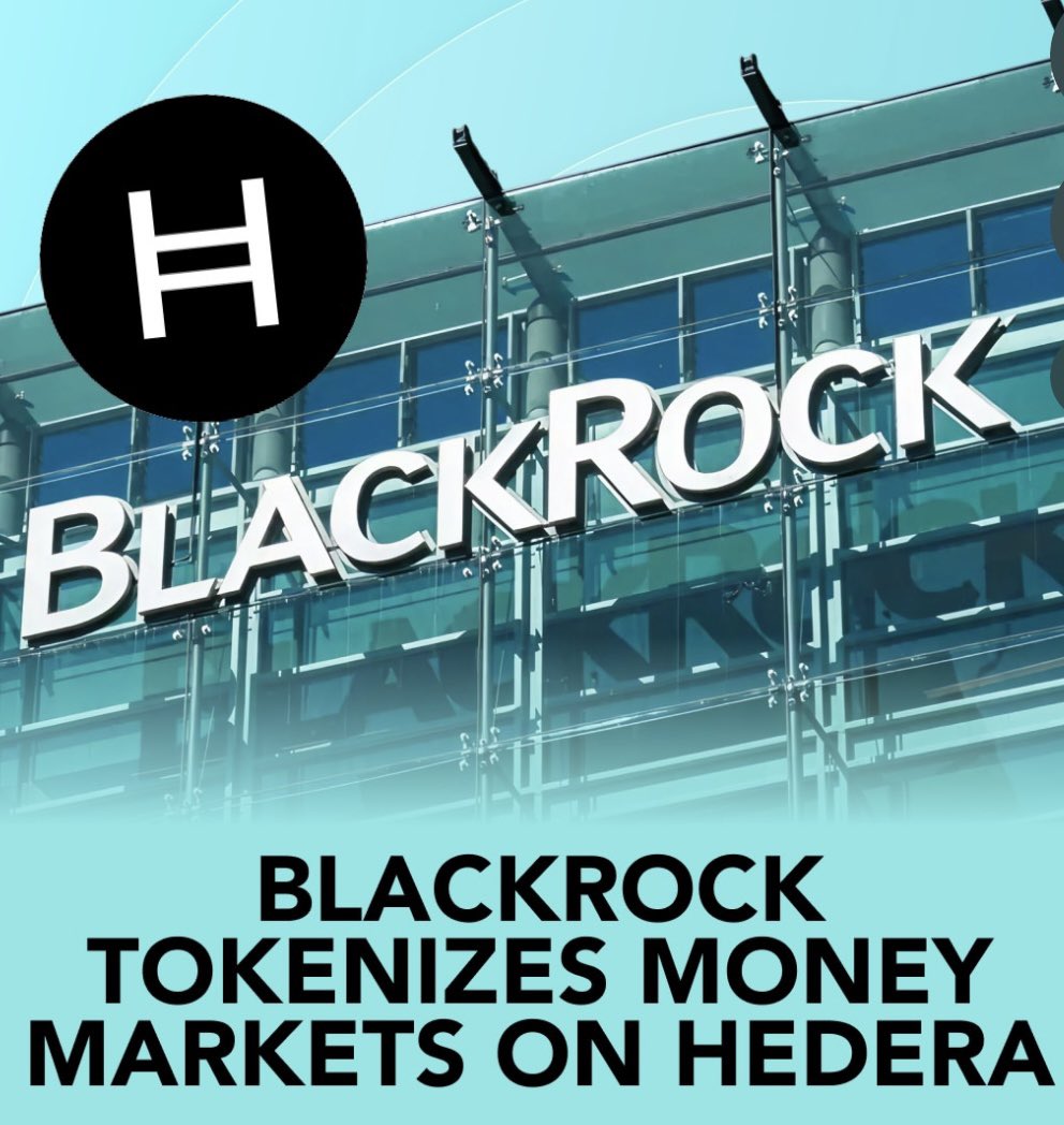 <a href="/hedera/">Hedera</a> is SO undervalued it’s really insane. So bullish for $HBAR