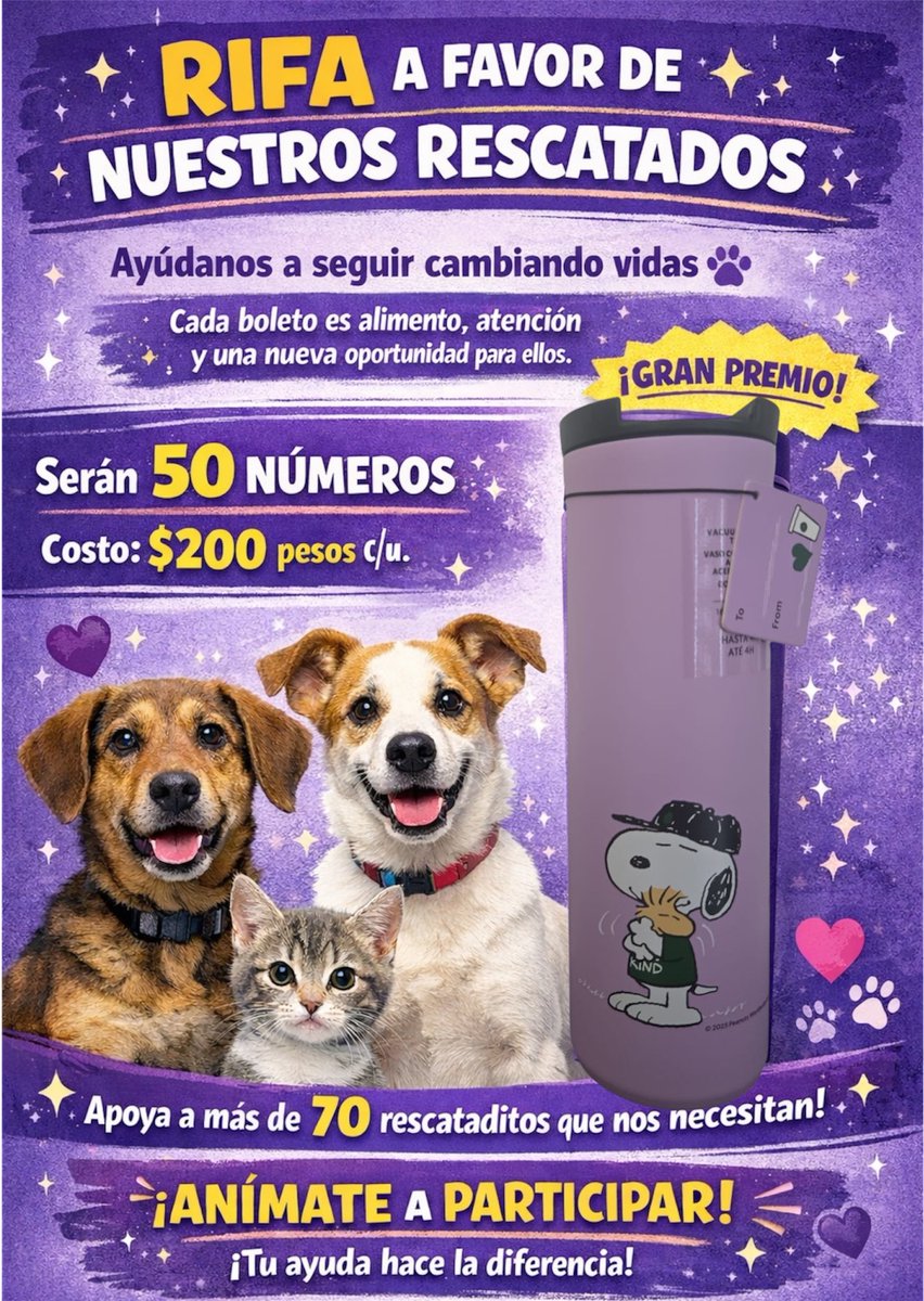 🎟️✨ RIFA A FAVOR DE NUESTROS RESCATADOS ✨🎟️

Ayúdanos a seguir cambiando vidas 🐾
Cada boleto es alimento, atención veterinaria y una nueva oportunidad para ellos.

📌 Serán 50 números
💵 Costo por número: $200 pesos

🎁 Premio:
Termo morado
Colaboración exclusiva Starbucks x