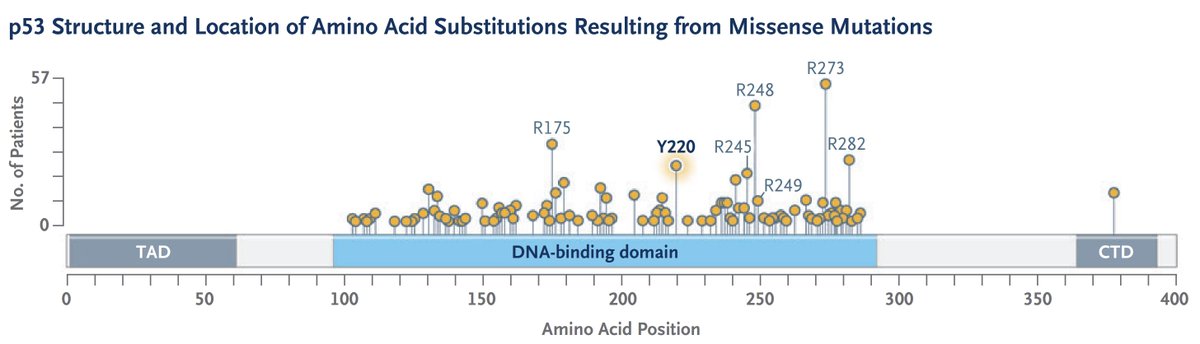 Samuel Hume tweet media