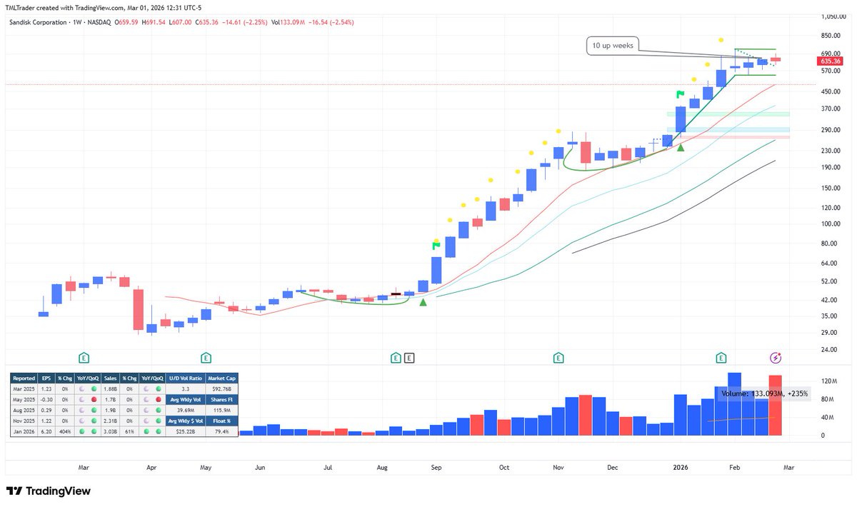 TML Trader tweet media