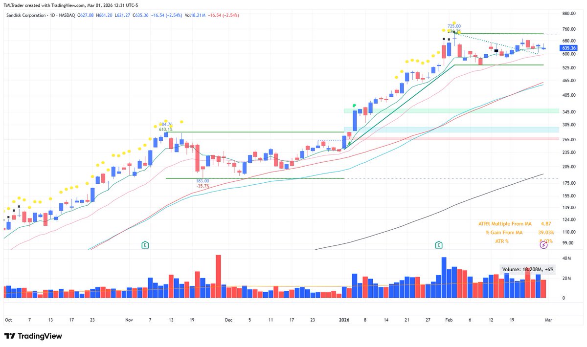 TML Trader tweet media
