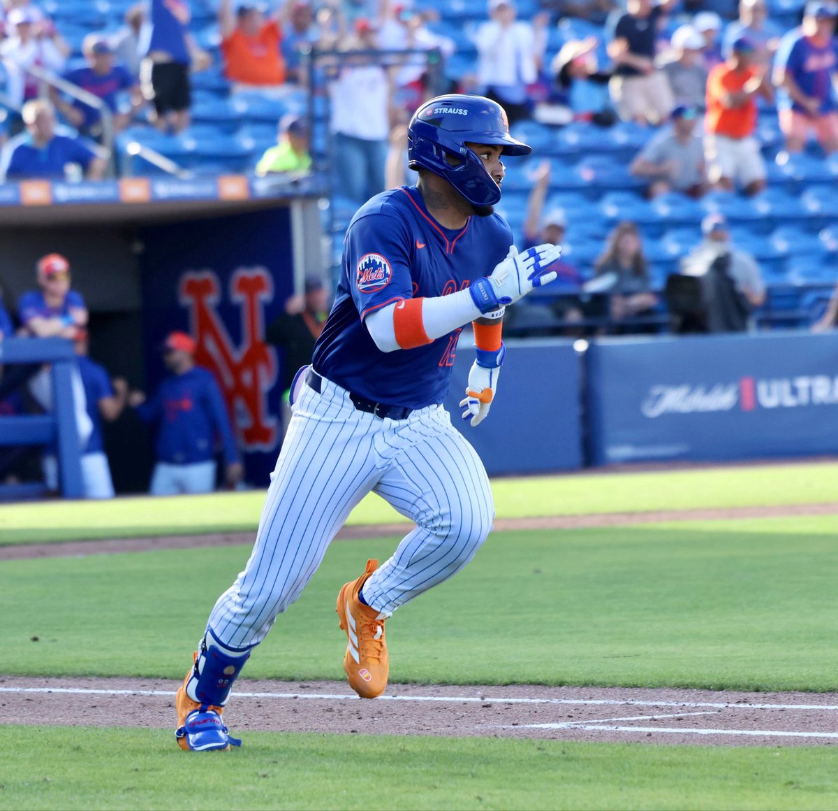 Metsmerized Online tweet media