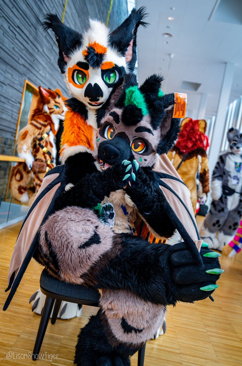 Swizz 🇮🇪 tweet media