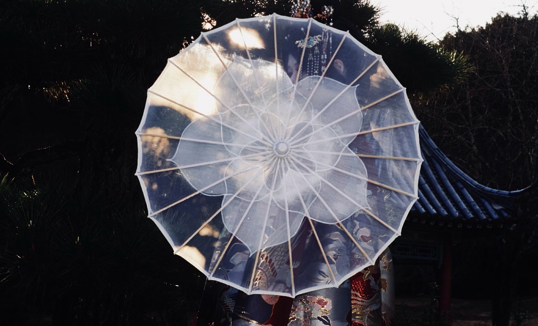 咲@改名しました(芋) tweet media