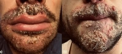 SafetySwipe tweet media