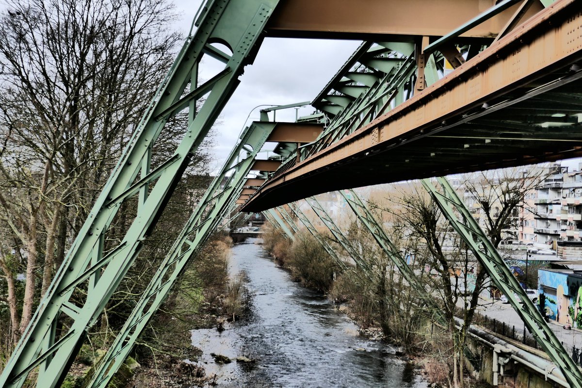 DJ SpaceTerrapin tweet media