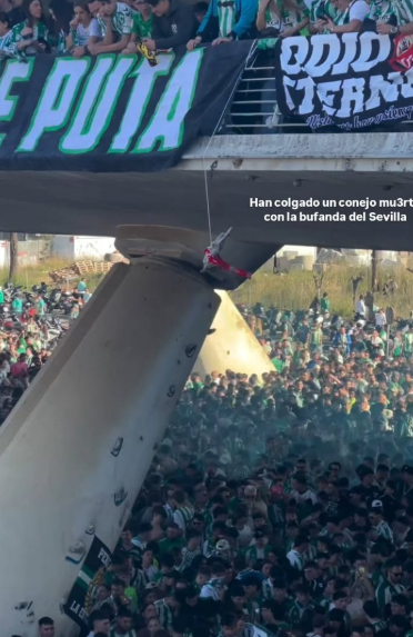 Imagino que <a href="/SubdeGobSevilla/">Subdelegación del Gobierno en Sevilla</a> , @laliga y <a href="/deportegob/">CSD</a> están al tanto de esto (colgar, ahorcar, a un conejo muerto con la bufanda del <a href="/SevillaFC/">Sevilla Fútbol Club</a> ). 

Seguro que <a href="/marca/">MARCA</a> , <a href="/diarioas/">Diario AS</a> , <a href="/antena3com/">Antena 3</a> , <a href="/DeportesCuatro/">Deportes Cuatro</a> , <a href="/Estadio_ED/">Estadio Deportivo</a> ya están poniendo noticias de ello.

#Vergüenza
#Odio