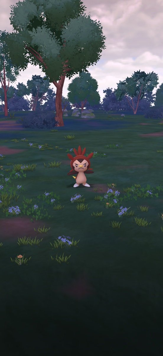 おはよう😎✨
キュンキュン👱🏻‍♀️❤️
チョコ(・ε-。)⌒☆マロンマロン🌰ちゃん
ｷﾀ━━ヽ(´ω`)ﾉﾞ━━!!