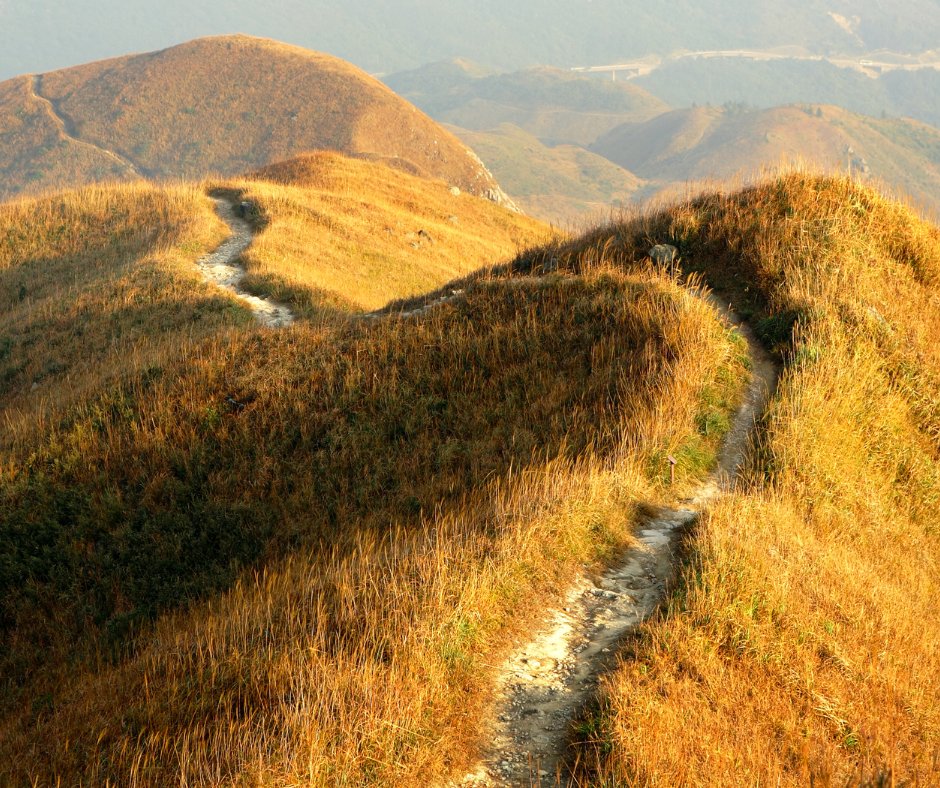 Neale Donald Walsch tweet media