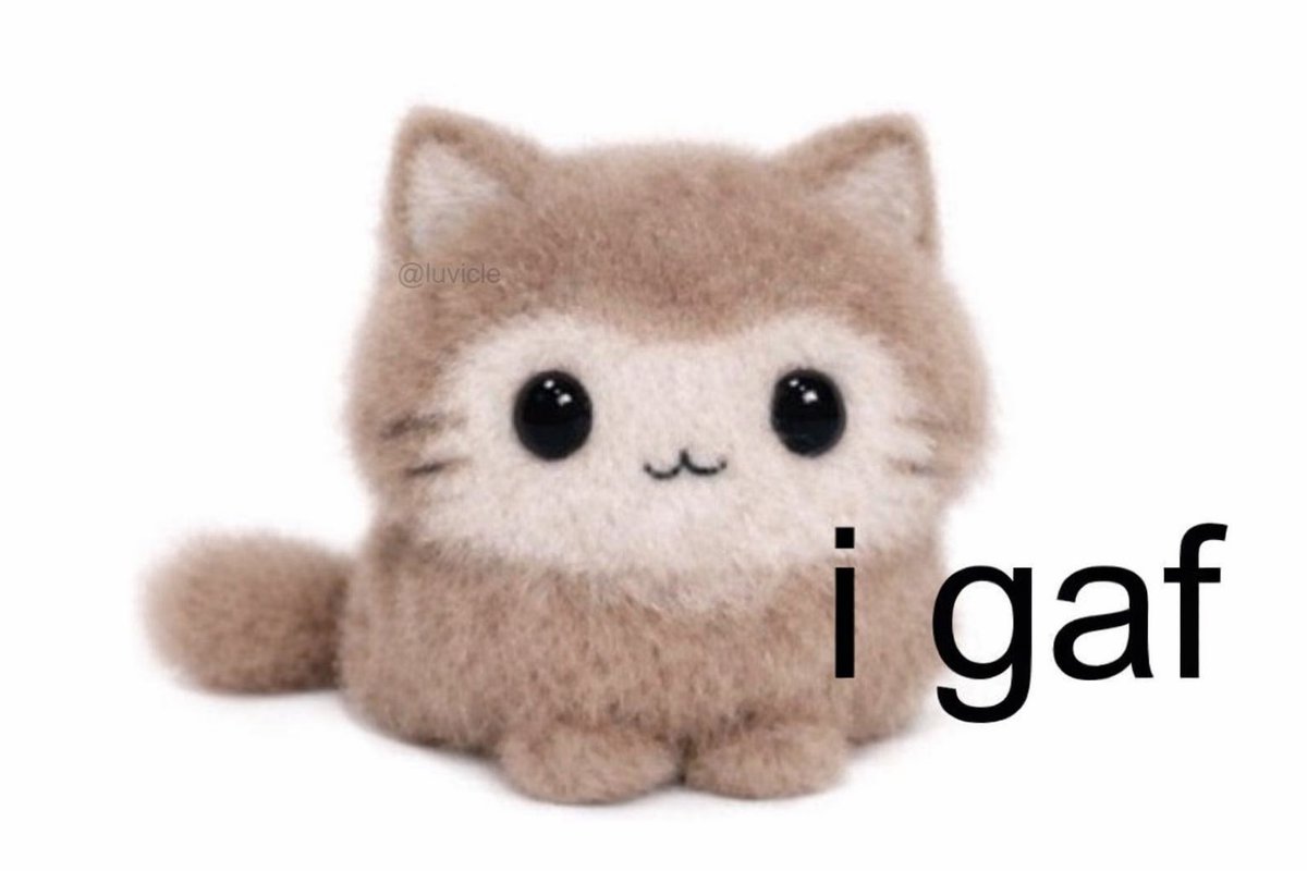 LiterallyMeCats tweet media