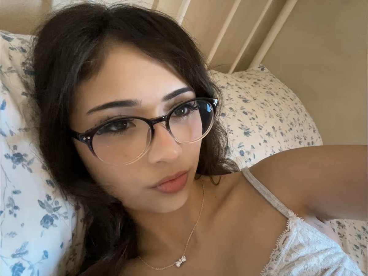 meeko 🐾 tweet media